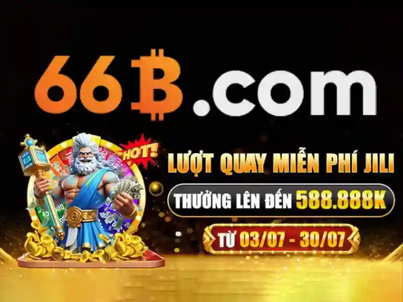 66b là gì