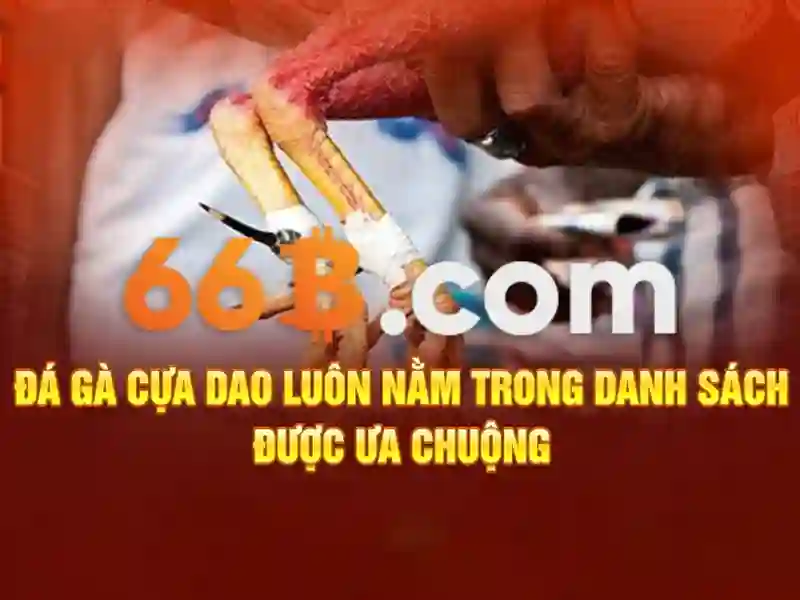 66b là gì? Khái niệm, lịch sử và ứng dụng
