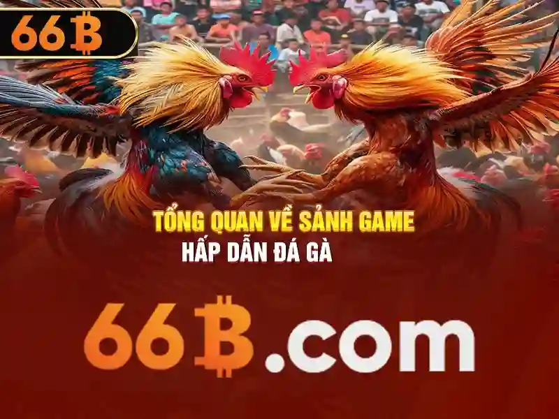 Khả năng và hạn chế