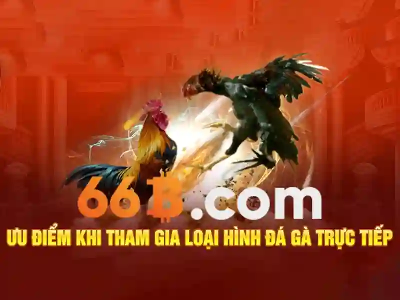 66b: khái niệm và ứng dụng trong thế giới số