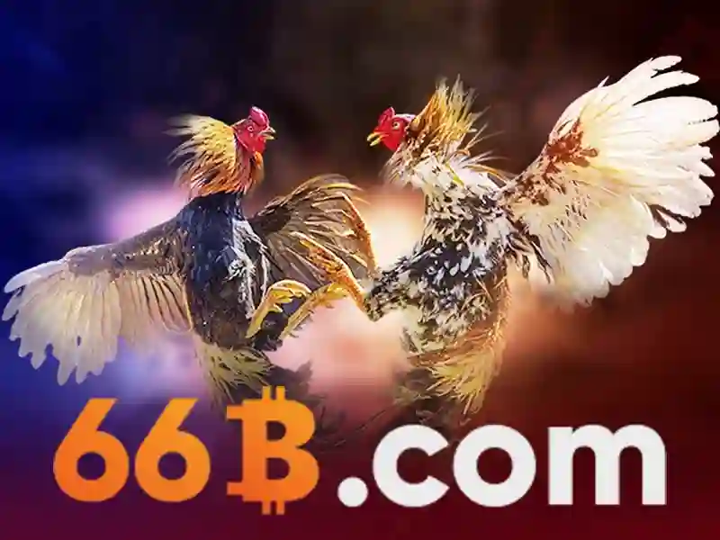 66B là gì?