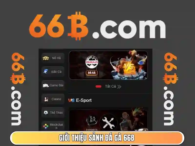 66b: Ký hiệu cổ và hành trình khám phá