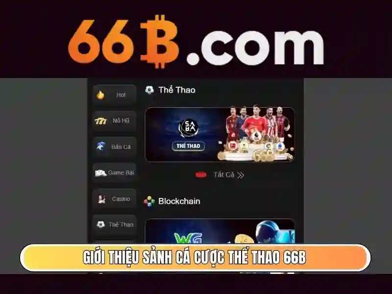 gioi-thieu-khuyenmai-66b