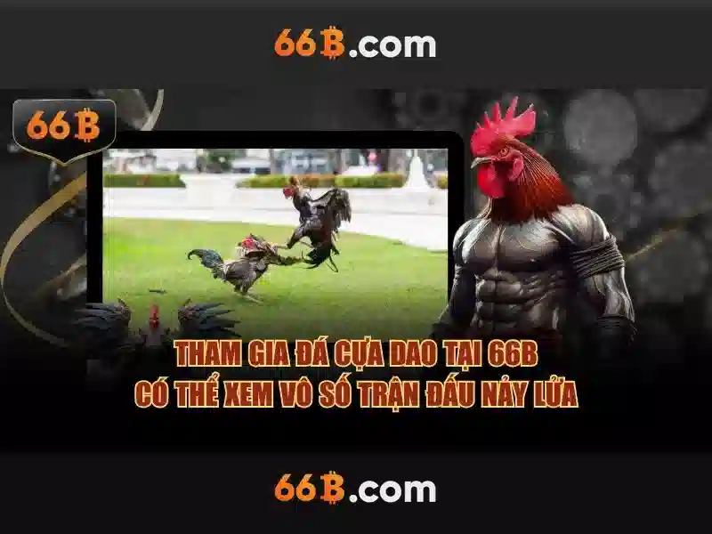 66b: một cái nhìn tổng quan về công nghệ và ứng dụng