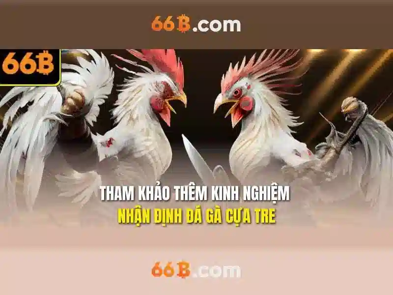 66B là gì?