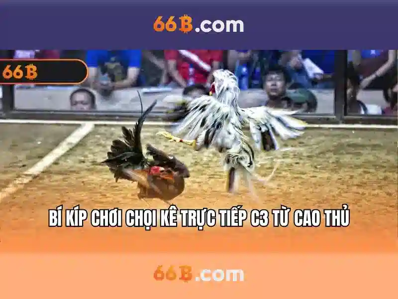 66b: Khám phá một mô hình AI 66 tỷ tham số