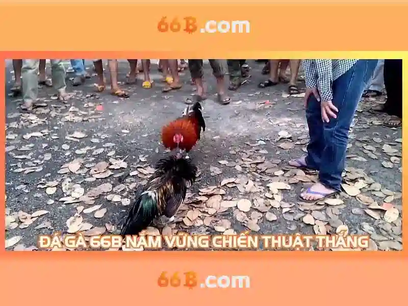 Kiến trúc và tham số