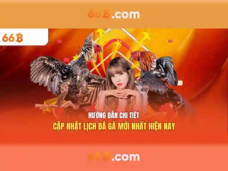 Giới thiệu về 66B