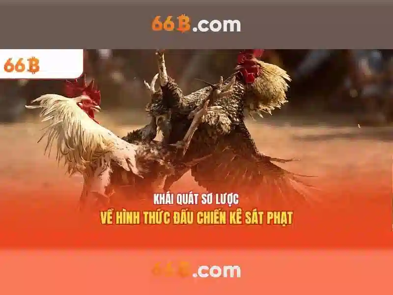 An toàn và đạo đức