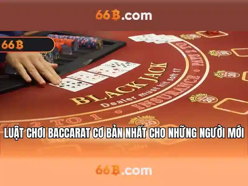 Lợi ích của 66b trong doanh nghiệp