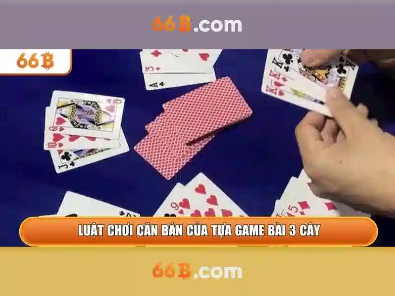 Trải nghiệm người dùng và Phản hồi cộng đồng