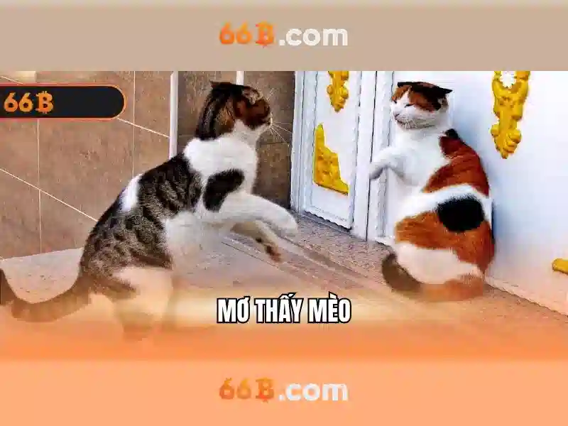 66b: Khám phá một khái niệm số học độc đáo