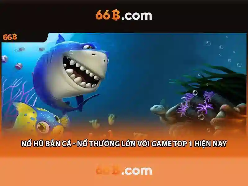 66B là gì và tại sao nó quan trọng