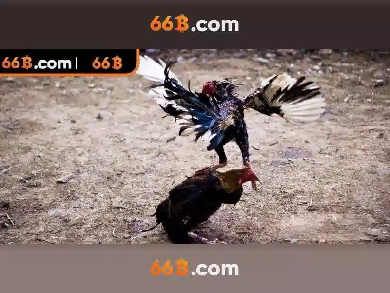 Bao mat thong tin va trach nhiem nguoi choi tai 66b