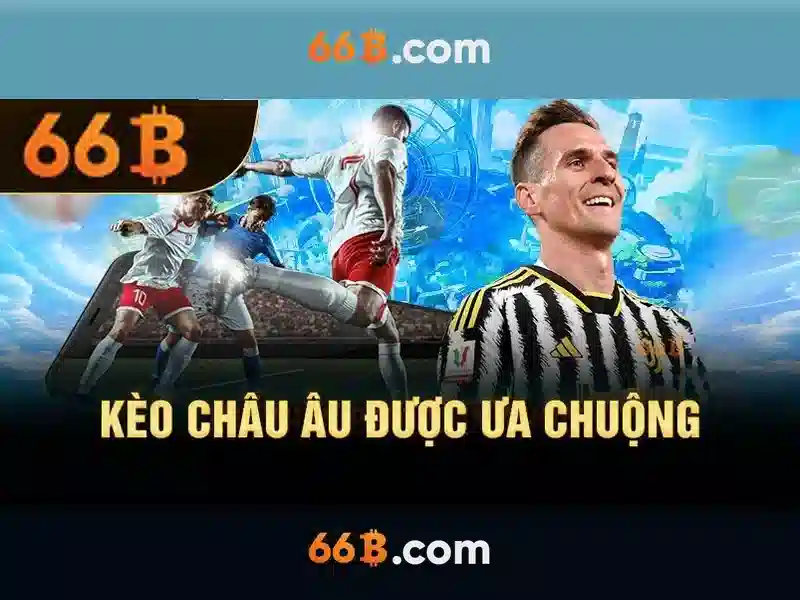 66B là gì?