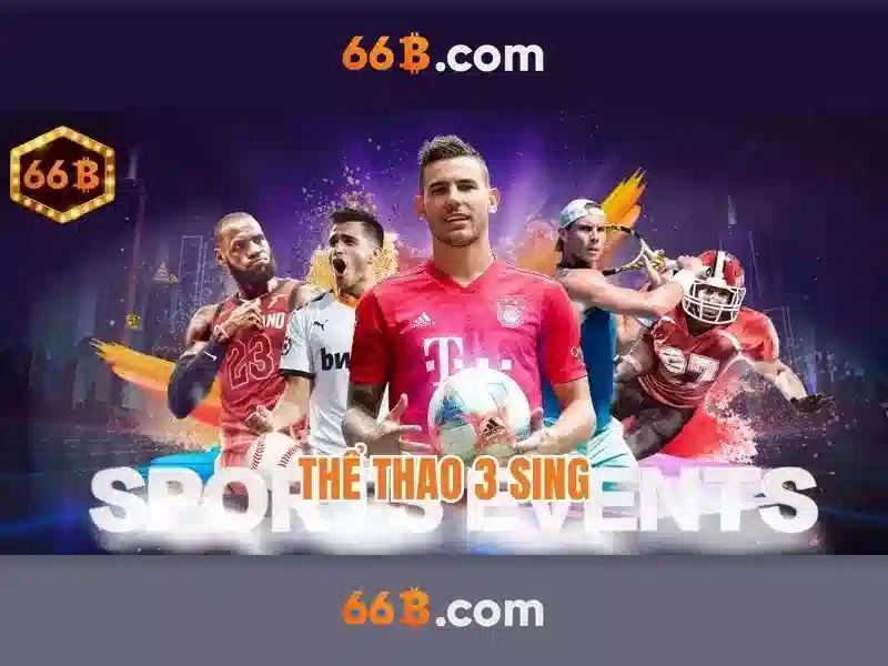 66b trong văn hóa số