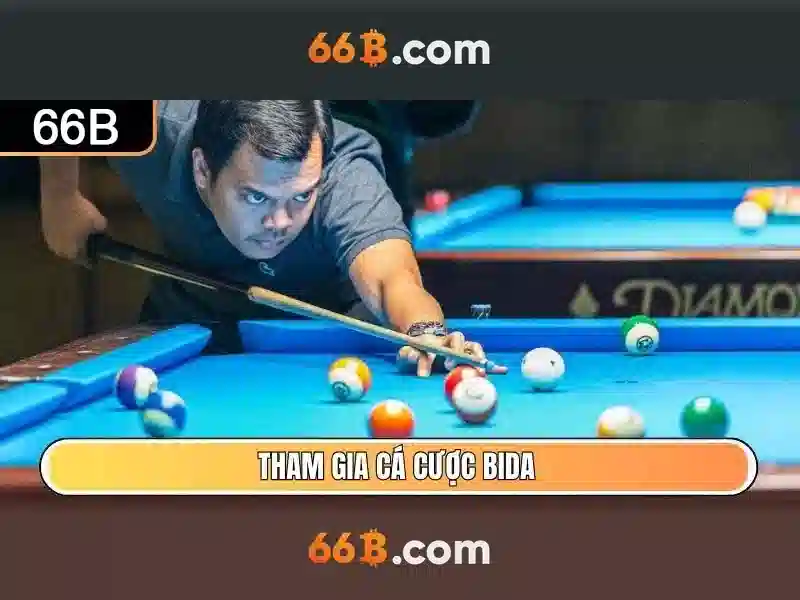 66B là gì?