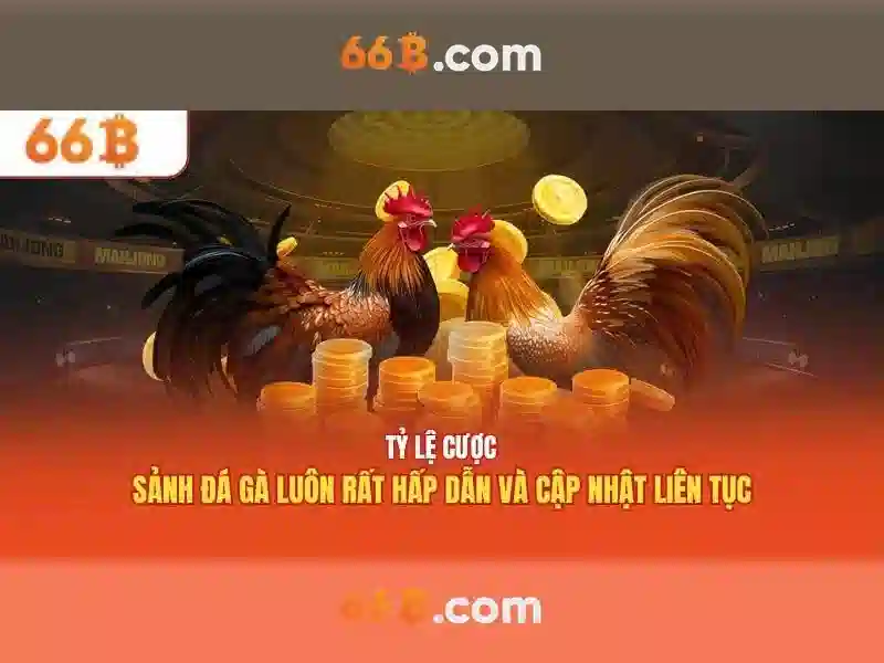 66b: Khái niệm, ứng dụng và thách thức