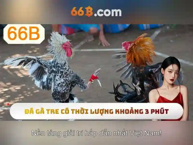 66B: Sức mạnh và ứng dụng của mô hình ngôn ngữ 66 tỷ tham số