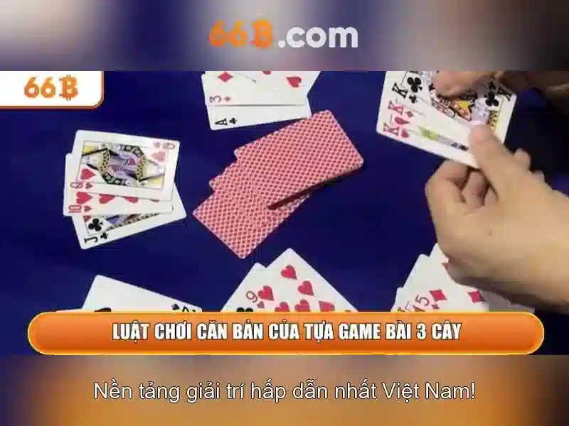 Tương lai của 66b và xu hướng phát triển