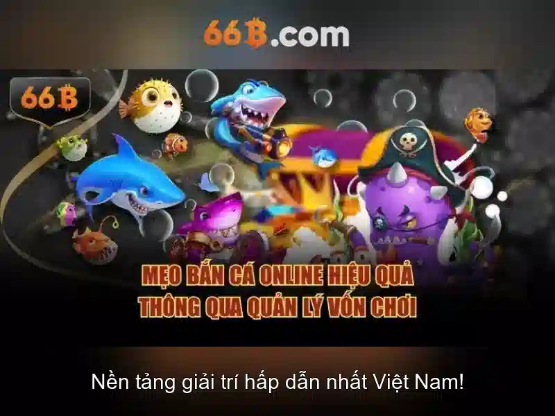 66b trong kỷ nguyên số