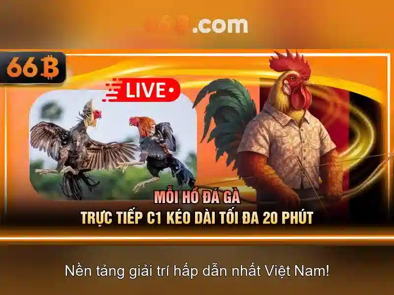 Triển vọng tương lai và thách thức