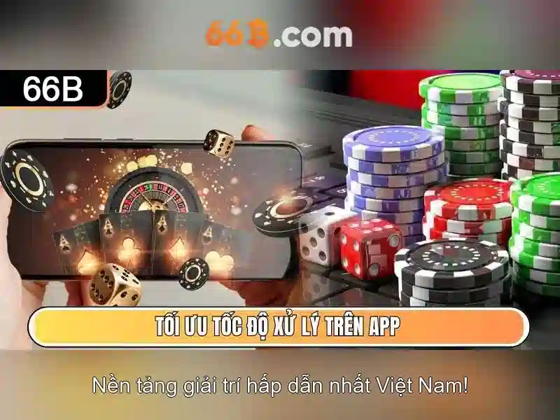 '66B là gì?'