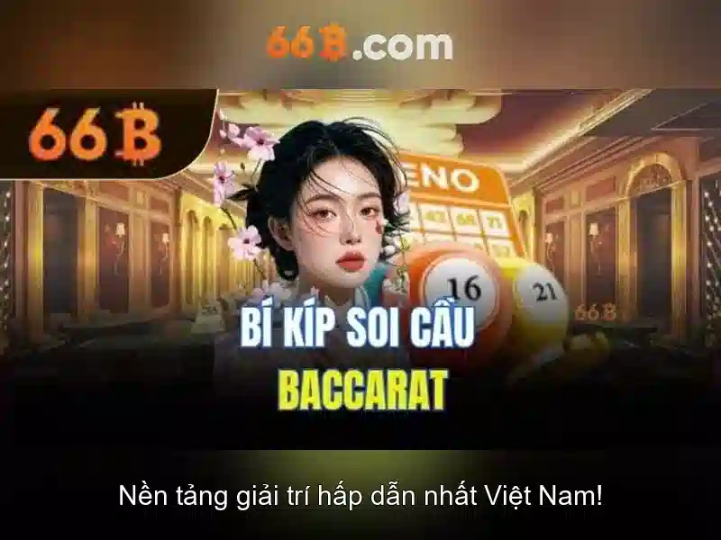 Ứng dụng của 66B trong đời sống và doanh nghiệp