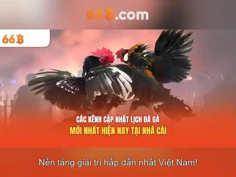 Phát triển và tương lai của kích thước mô hình