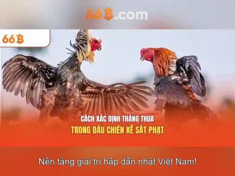 So sánh với các mô hình khác