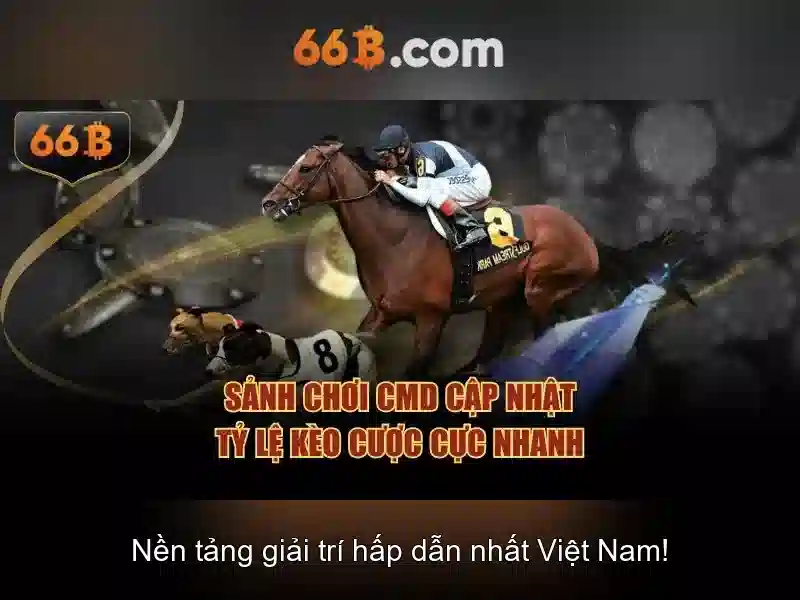 Đối tượng người dùng và tiếp cận