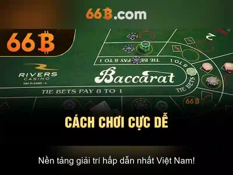 66B: Hiểu biết về kích thước và ứng dụng