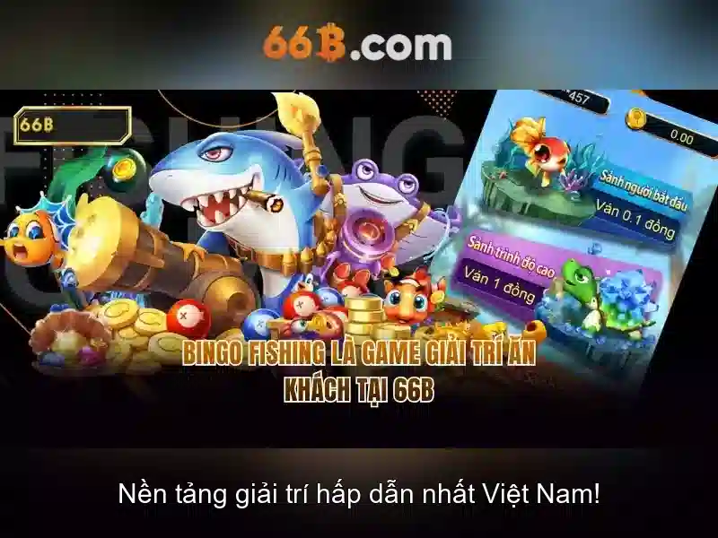 66B là gì?