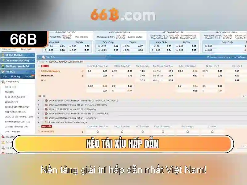 66b: ký hiệu đa dụng trong CNTT và văn hóa