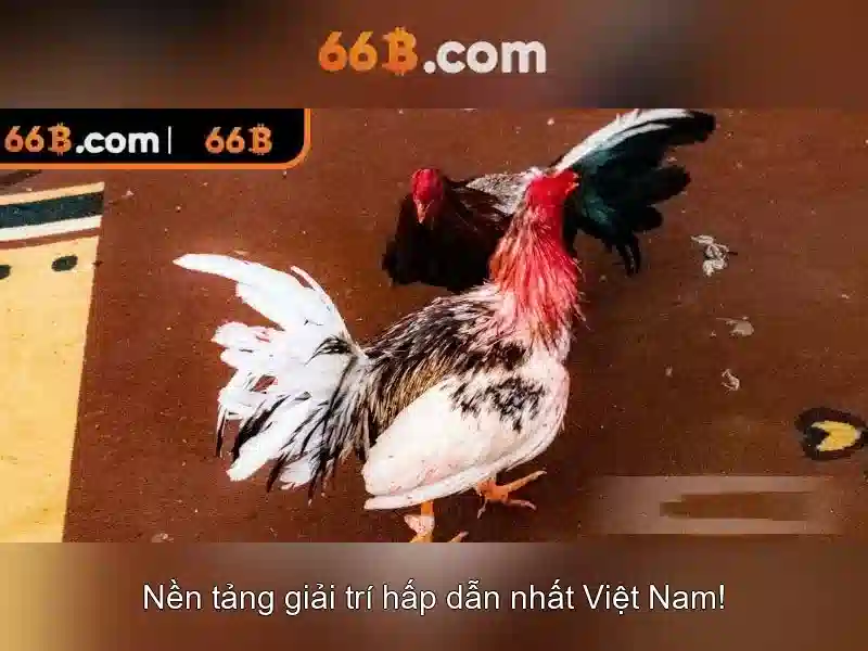 66B: Khái niệm, kiến trúc và ứng dụng
