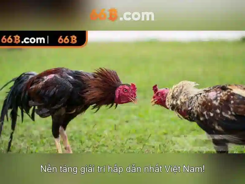 Nguồn gốc và ý nghĩa của 66b