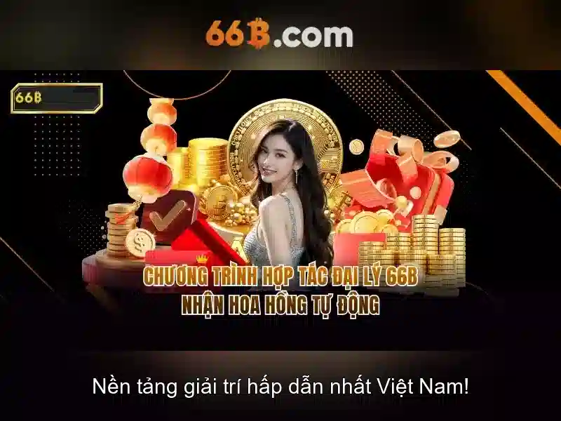 66b là gì?