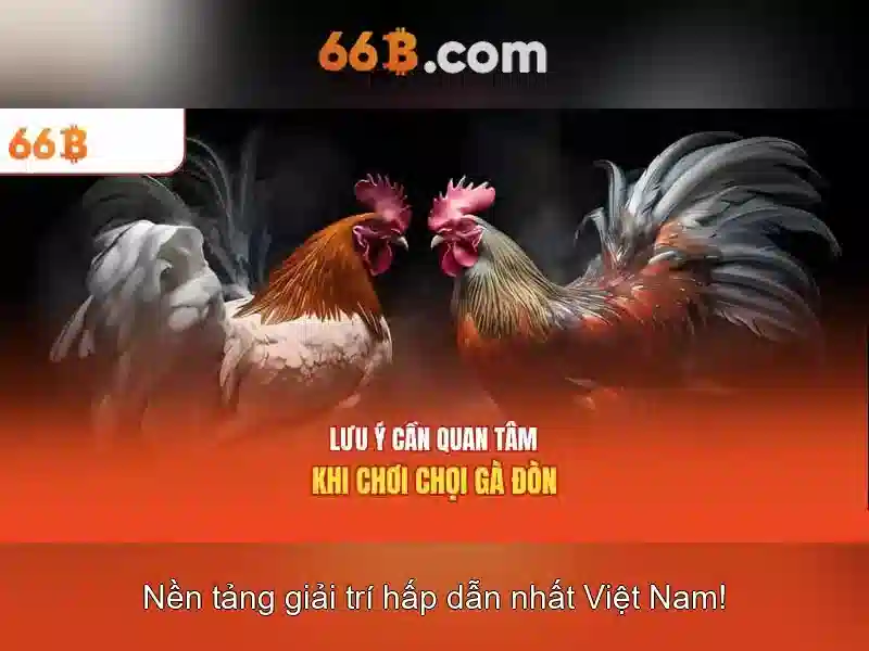 Phương pháp đánh giá và thách thức của 66b
