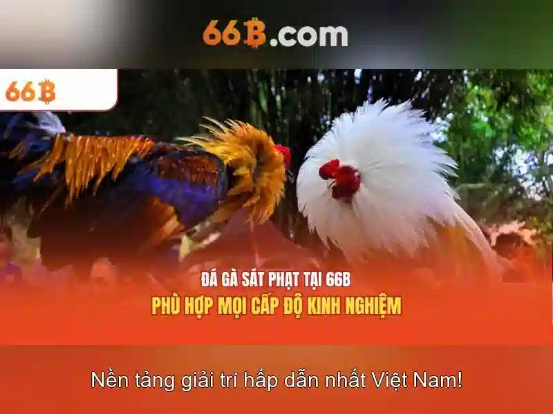 Kiến trúc và quy mô