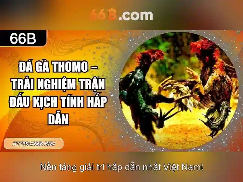 Bao mat tai khoan dang nhap an toan