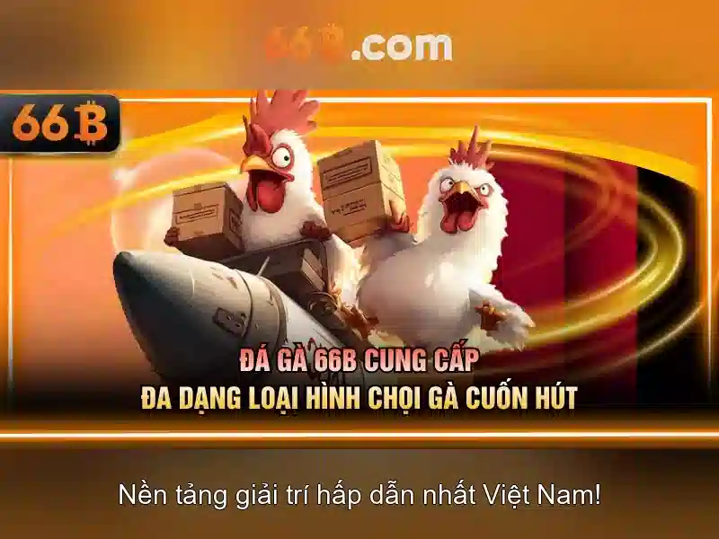 66b: Khái niệm và tiềm năng