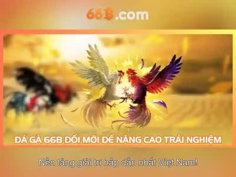 66B là gì và vị trí của nó trong thế giới AI