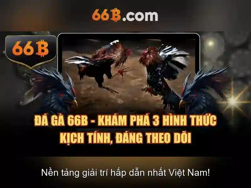 Nguồn gốc và sứ mệnh của 66b of the b