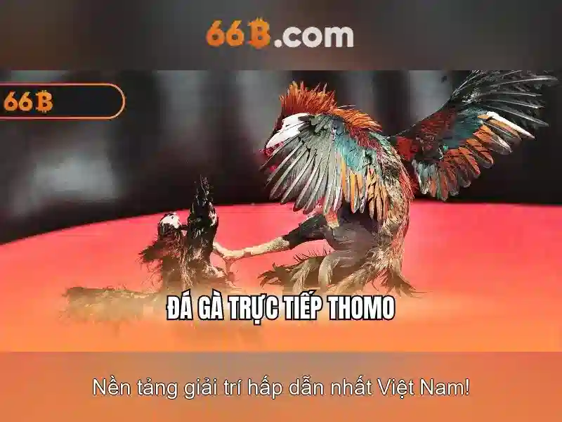 Giới thiệu về mô hình 66B