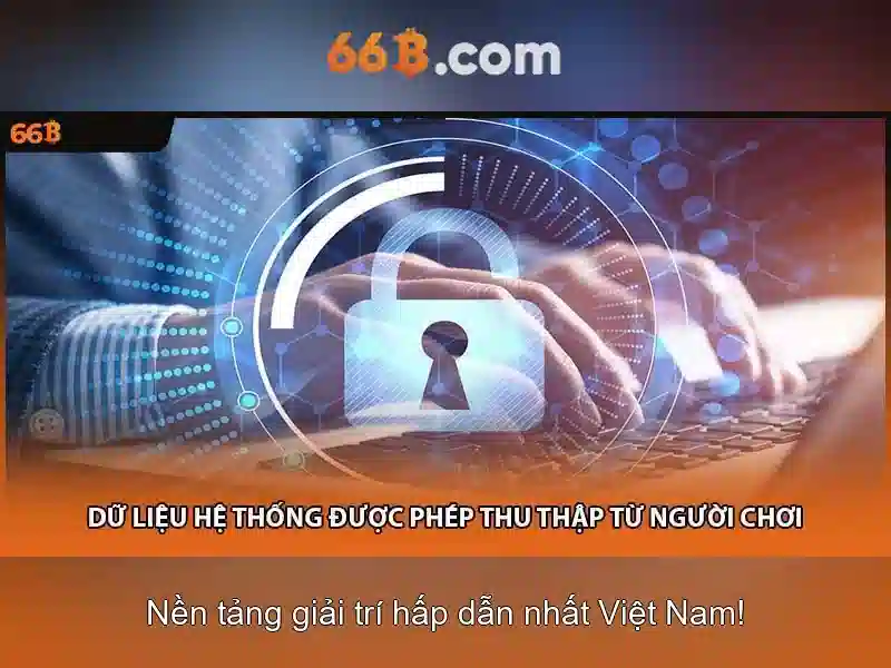 66b là gì?