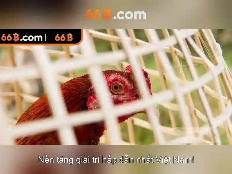 Khám phá mô hình ngôn ngữ 66B