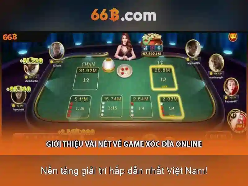 66b là gì: khái niệm và ứng dụng