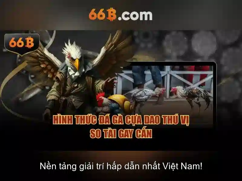 Giới thiệu về 66b