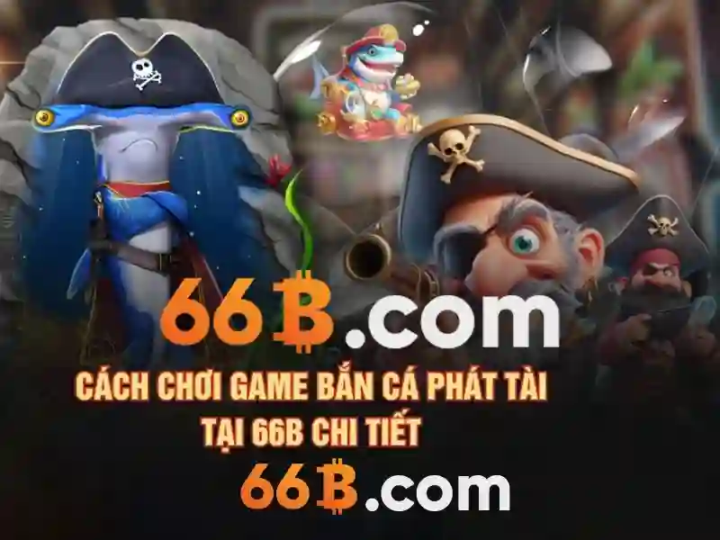 66B là gì?