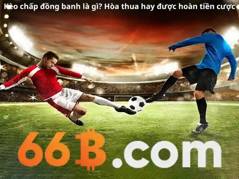 Giao diện trang chủ nhà cái 66b hiện đại và bắt mắt